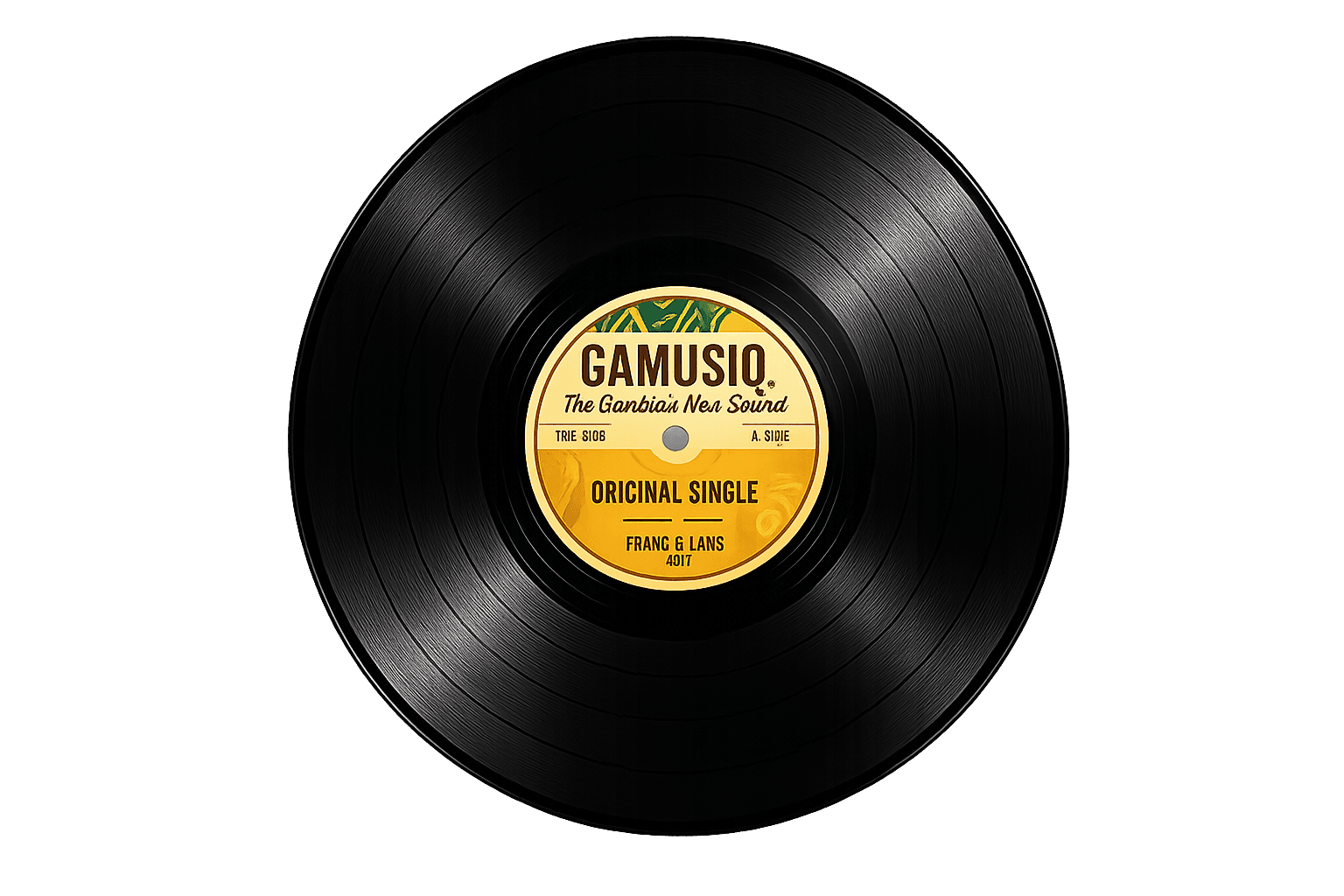 Vinyl record